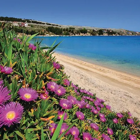 Amazing In Pag With 2 Bedrooms And Wifi Appartement